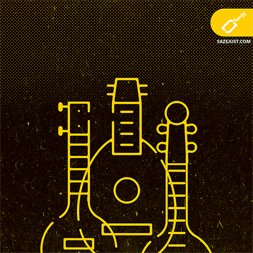 انواع ساز های زهی