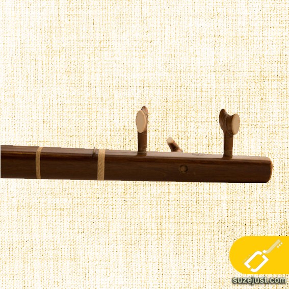 تمبور ذوالقدر۲