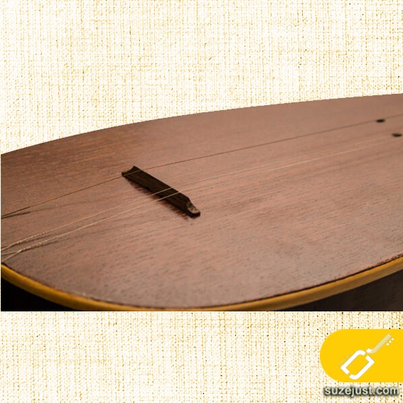 تمبور ذوالقدر۳