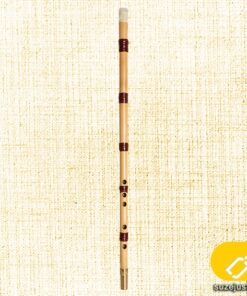 نی امینی ویژه